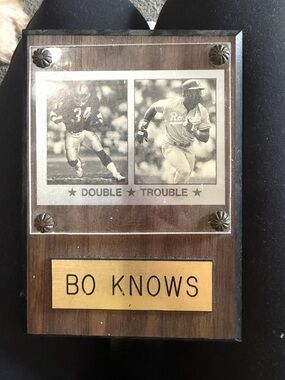 Bo Knows Decorative Wood Plaque - Brown and Gold